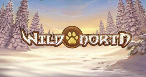 Wild North
