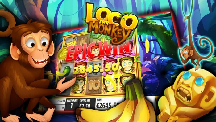 Loco the Monkey